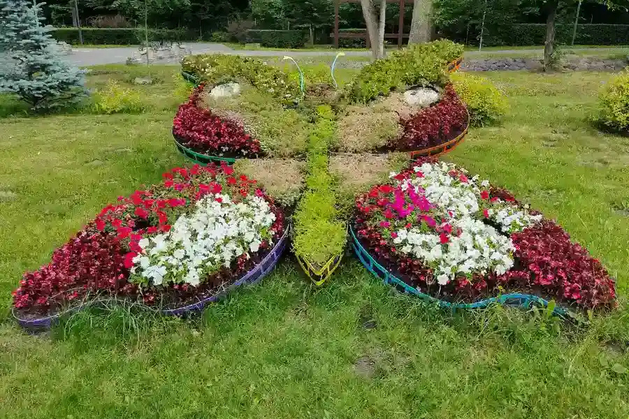 How Landscape Installation Improves Property Drainage in Baton Rouge, LA How Landscape Installation Improves Property Drainage in Baton Rouge, LA