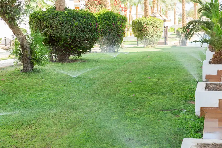 The Role Of Sprinkler Repair In Maintaining Healthy Lawns Baton Rouge, LA The Role Of Sprinkler Repair In Maintaining Healthy Lawns Baton Rouge, LA